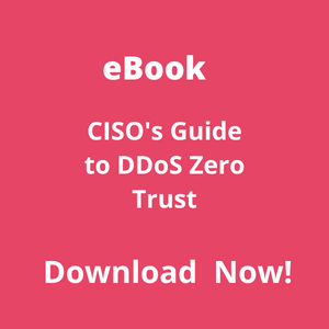 download_ebook_ddos_zero_trust